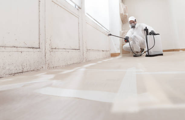 24/7 Emergency Attic Mold Removal experts in Bristow, VA