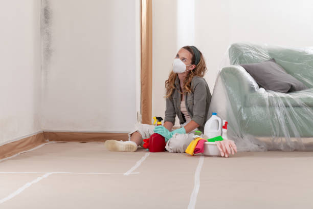 Reliable Attic Mold Removal contractor in Bristow, VA by WQB Mold Removal